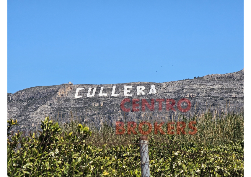 Sad pomarańczowy  w Cullera, Walencja